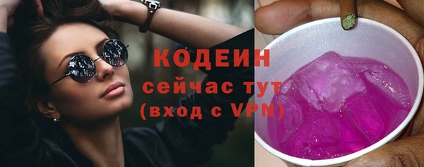 индика Лиски