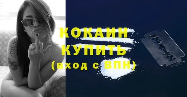 индика Лиски