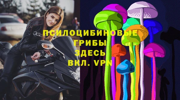индика Лиски