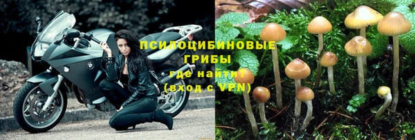 индика Лиски