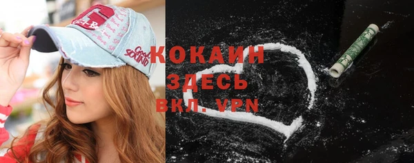 индика Лиски