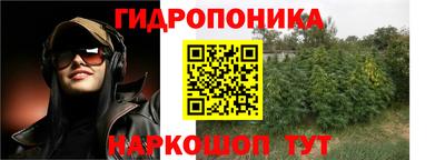 молекула духа Новодвинск