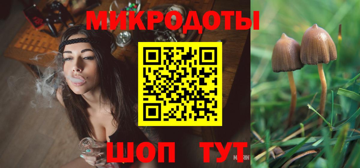 Галлюциногенные грибы Psilocybine cubensis Ярцево